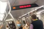 बापरे! मेट्रोमध्ये शिरलं झुरळ; प्रवाशांना अक्षरशः नाकीनऊ आणलं, पाहा मजेशीर VIDEO