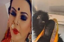 गोरिला गेटअपमध्ये राखी सावंतने केला 'चोली के पीछे' गाण्यावर डान्स; VIDEO VIRAL गोरिला गेटअपमध्ये राखी सावंतने केला 'चोली के पीछे' गाण्यावर डान्स; VIDEO VIRAL