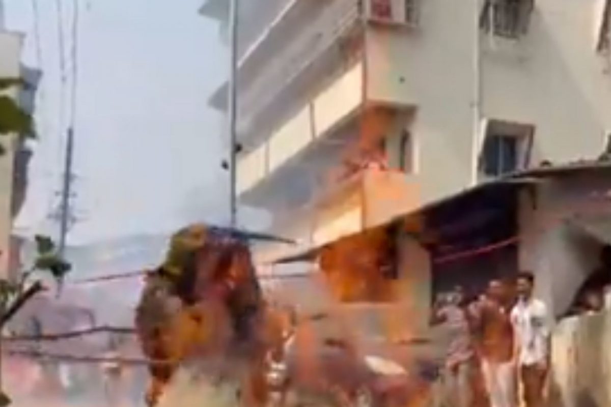 कल्याणमधील धक्कादायक VIDEO; माणसांमुळे द्यावी लागली बैलांना अग्निपरीक्षा