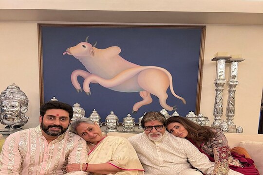 Bull Painting: बिग बींकडे असणाऱ्या या पेंटिंगची किंमत वाचून व्हाल हैराण, एवढ्या पैशांत मुंबईत खरेदी करता येईल 2BHK