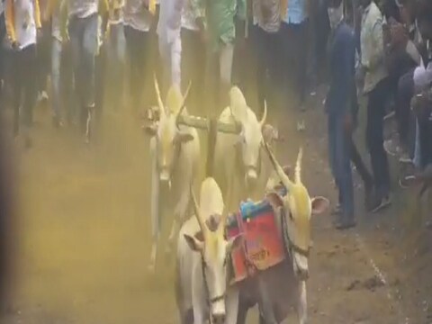 गृहमंत्र्यांच्या मतदारसंघात बैलगाडा शर्यत भरवणं भोवलं, 200 जणांवर गुन्हा दाखल  
