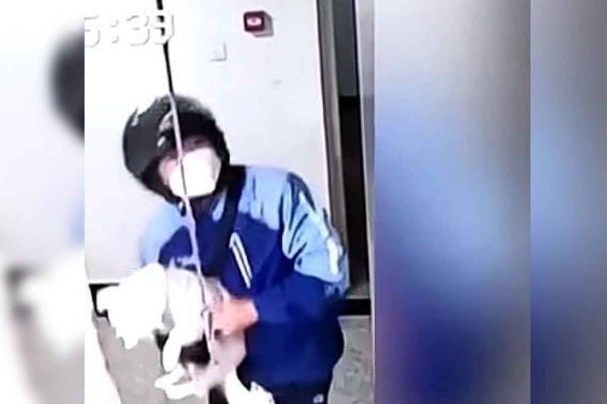 लिफ्टमध्ये अडकला कुत्र्याच्या गळ्यातील पट्टा, पुढं जे घडलं.. पाहा थरारक VIDEO