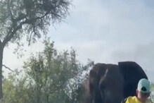 सोंडेत धरली गाडी आणि...; चवताळलेल्या हत्तीचा पर्यटकांवर खतरनाक हल्ला; पाहा VIDEO सोंडेत धरली गाडी आणि...; चवताळलेल्या हत्तीचा पर्यटकांवर खतरनाक हल्ला; पाहा VIDEO