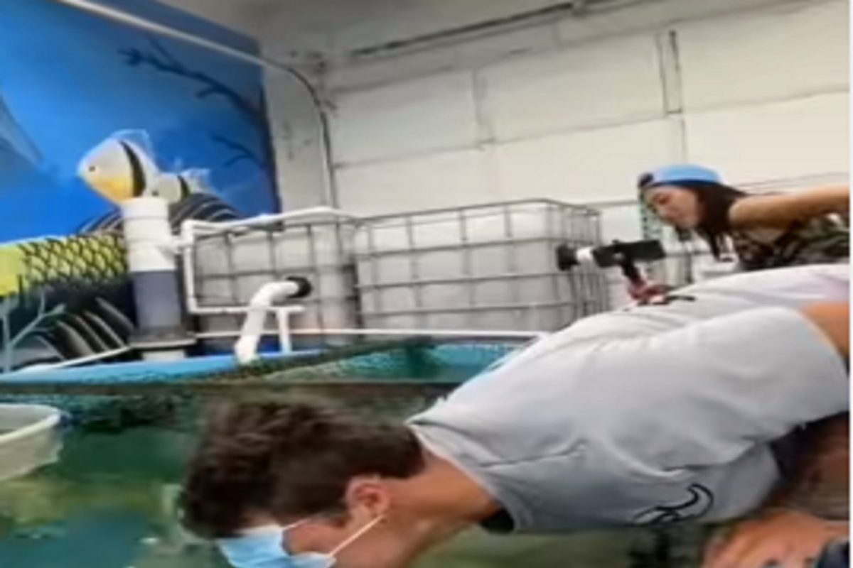 Oh no! माशांना तोंडाने भरवण्याची हौस पडली भारी; तरुणासोबत काय घडलं पाहा VIDEO