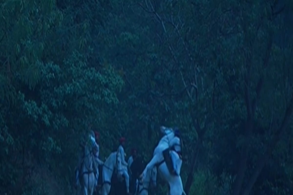 VIDEO : "स्वराज्य सौदामिनी ताराराणी" मालिकेच्या चित्रीकरणावेळी घोडा अचानक बिथरला आणि काळजाचा ठोका चुकला....