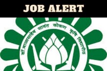 गोल्डन चान्स! कोंकण कृषी विद्यापीठात तब्बल 31,000 रुपये पगाराची नोकरी गोल्डन चान्स! कोंकण कृषी विद्यापीठात तब्बल 31,000 रुपये पगाराची नोकरी