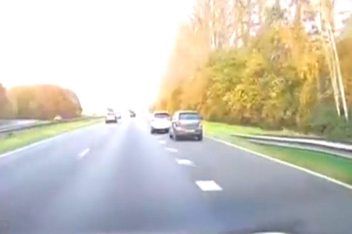 जीव वाचवणारा ACCIDENT; एक अपघातही कशी वाचवू शकतो लाइफ पाहा घटनेचा LIVE VIDEO