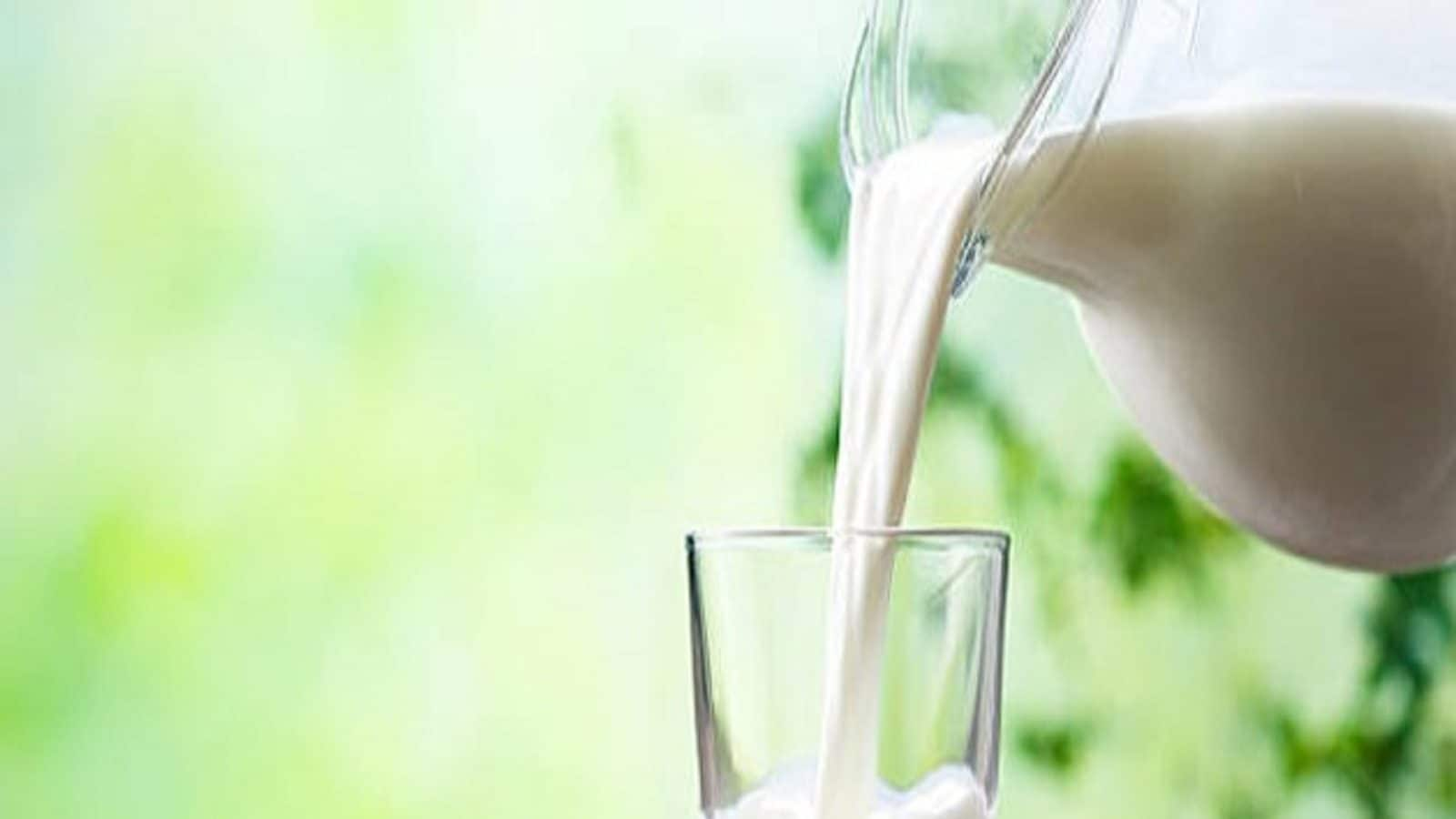 know-the-side-effects-of-milk-powder-in-time-health-effects-rp