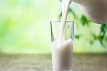 Milk Powder चे साईड इफेक्ट वेळीच माहीत करून घ्या; आरोग्यावर होतात असे परिणाम