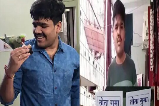 'पोपट शोधा आणि मिळवा 15 हजार रुपये', बेपत्ता पोपटासाठी इंजिनिअरनं वाटली घरोघरी पत्रकं