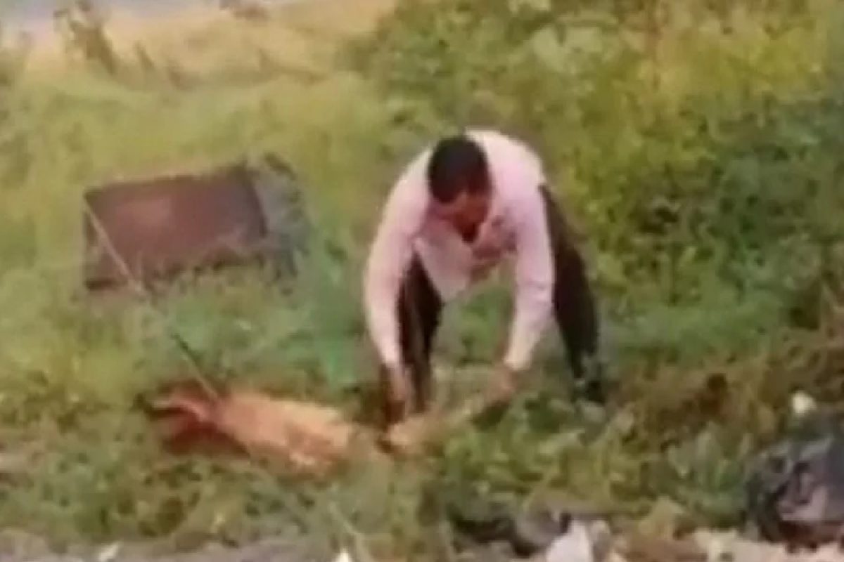 (Photo Credit- tv9hindi)