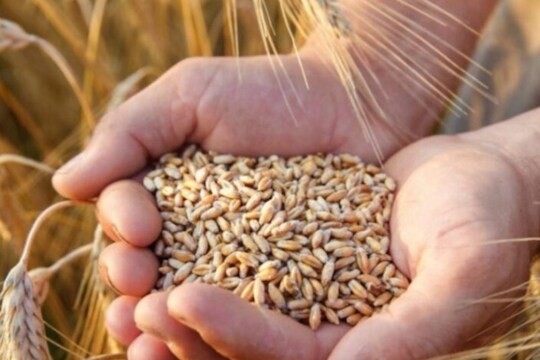 प्रधानमंत्री गरीब कल्याण अन्न योजनेला मुदतवाढ