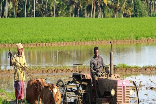 PM Kisan: ही सेवा झाली बंद, कोट्यवधी लाभार्थ्यांवर होणार परिणाम; अशाप्रकारे तपासा