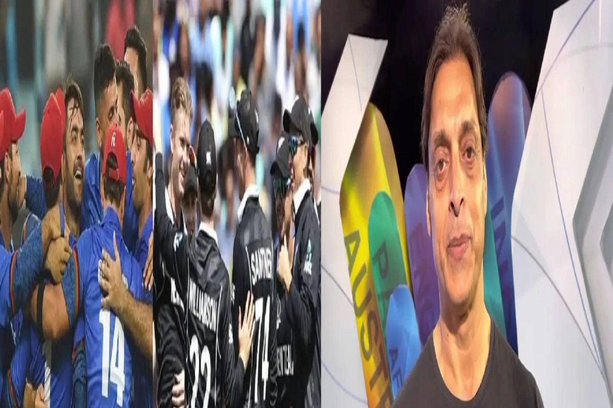 T20 World Cup : मॅच अफगाणिस्तान-न्यूझीलंडची पण भीती पाकिस्तानला, शोएब अख्तरच्या विधानाने खळबळ