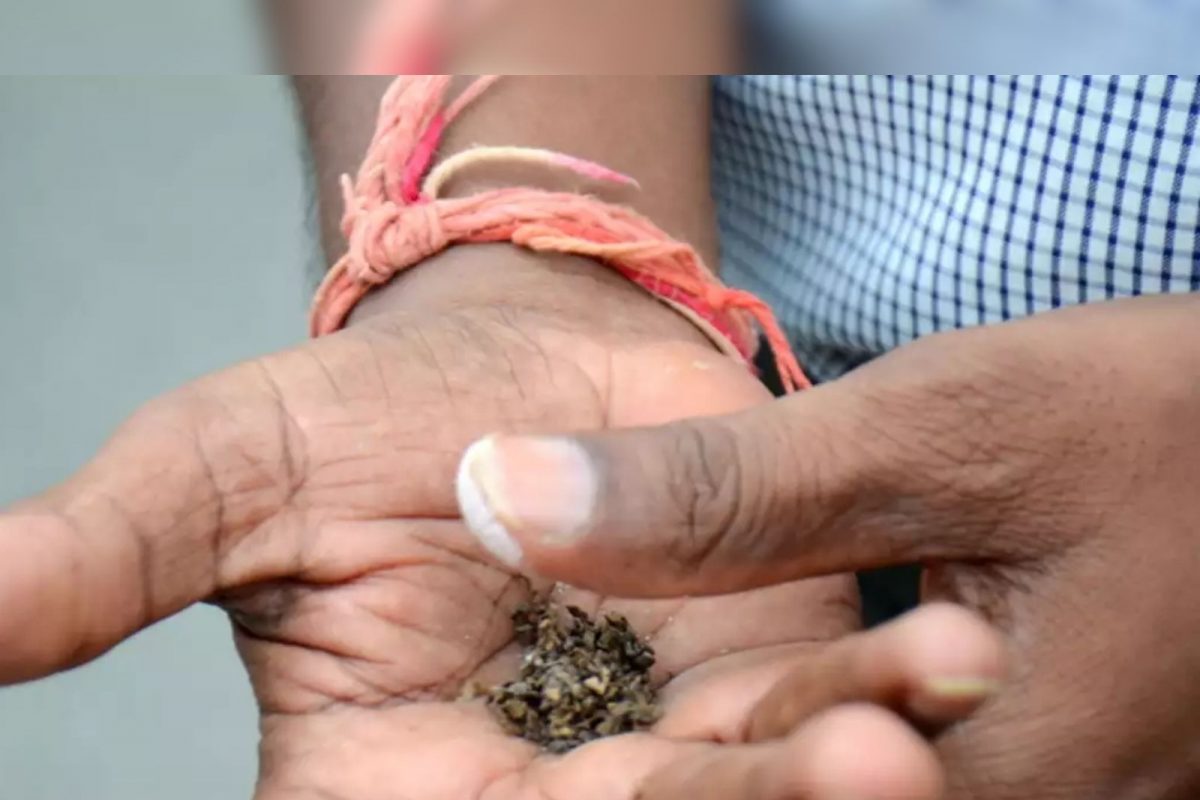 पांडुरंग शामराव भोसले असं फिर्यादी व्यक्तीचं नाव असून ते फुलेवाडी येथील रहिवासी आहे. (फोटो- TOI)