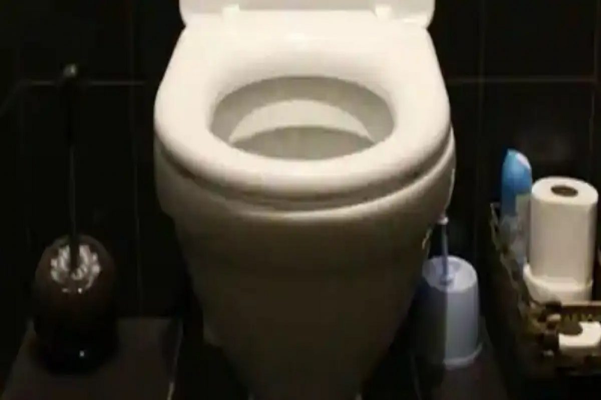 अजब कायदा! इथं रात्री Toilet वापरावर बंदी; टॉयलेटमधून पाण्याचा आवाज आला तरी शिक्षा