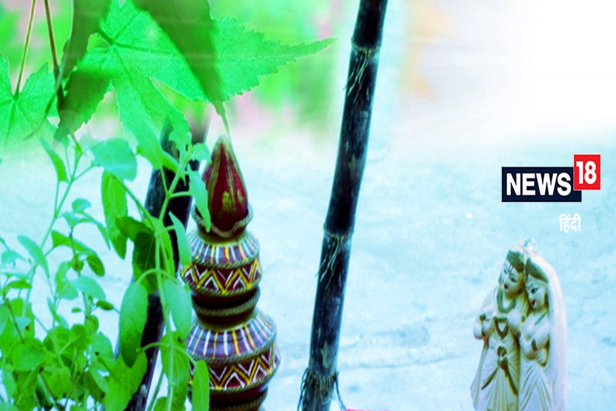 तुळशीविवाह आणि एकादशीच्या तिथीबाबत संभ्रम झालाय का? योग्य तिथी आणि शुभ वेळ जाणून घ्या