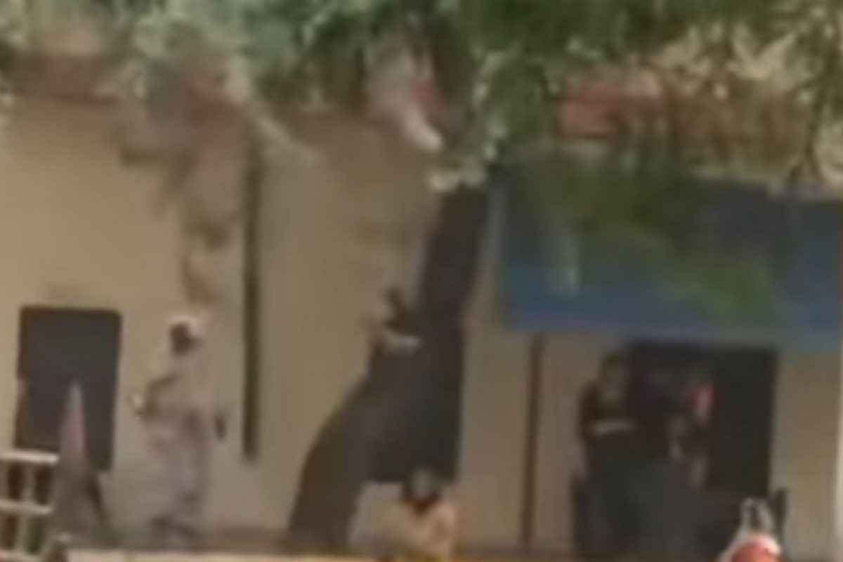 VIDEO : जमिनीच्या तुकड्यावरुन दोन गटांमध्ये खुनी संघर्ष; महिलांनाही मारहाण