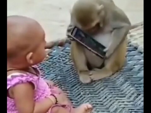 हे दोघं एकमेकांशी केवळ मोबाइलवरून (Mobile) भांडताना दिसत आहेत.