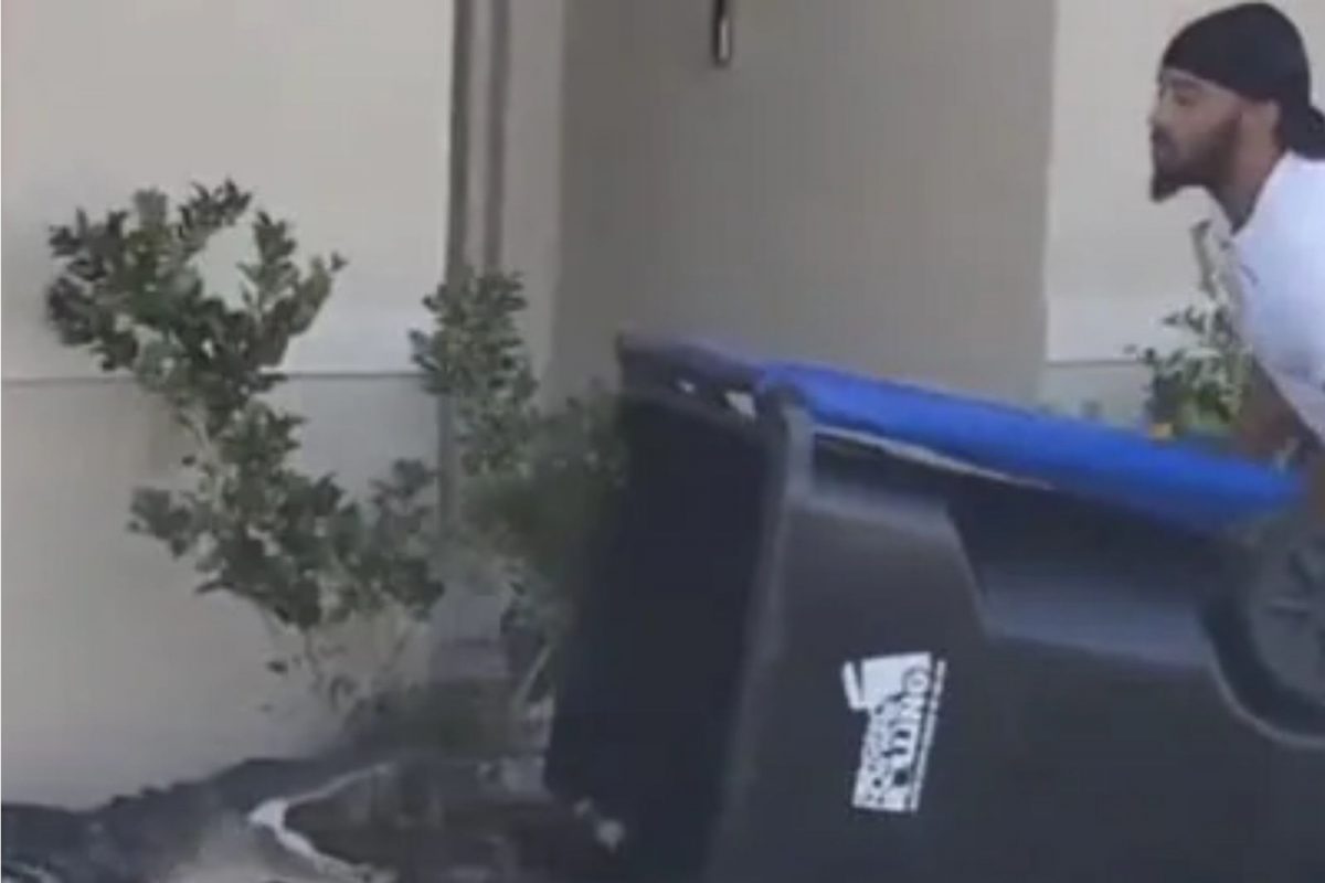 VIDEO : बापरे! थेट घरातच घुसली मगर; नंतर जे घडलं ते एकदा पाहाच!