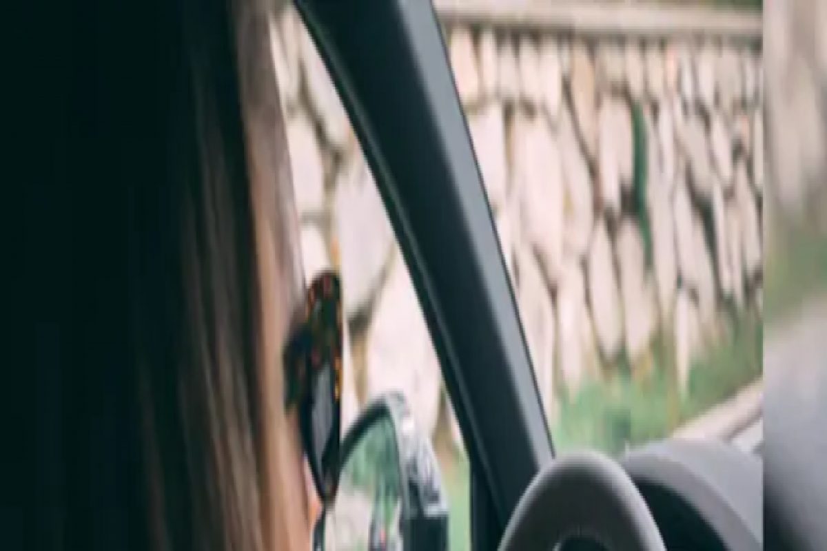 ड्रायव्हिंग करताना ‘फोन’वर मारत होती गप्पा, दंड करुन पोलिसच पस्तावले