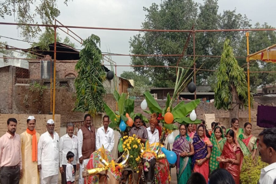 चव्हाणांप्रमाणेच जर सर्वांनी बैलगाडीचा उपयोग केला, तर पर्यावरण रक्षणासाठी त्याचा मोठा उपयोग होईल आणि पेट्रोल डिझेलवर होणाऱ्या खर्चातही बचत होईल, असं मत व्यक्त करण्यात येत आहे. 