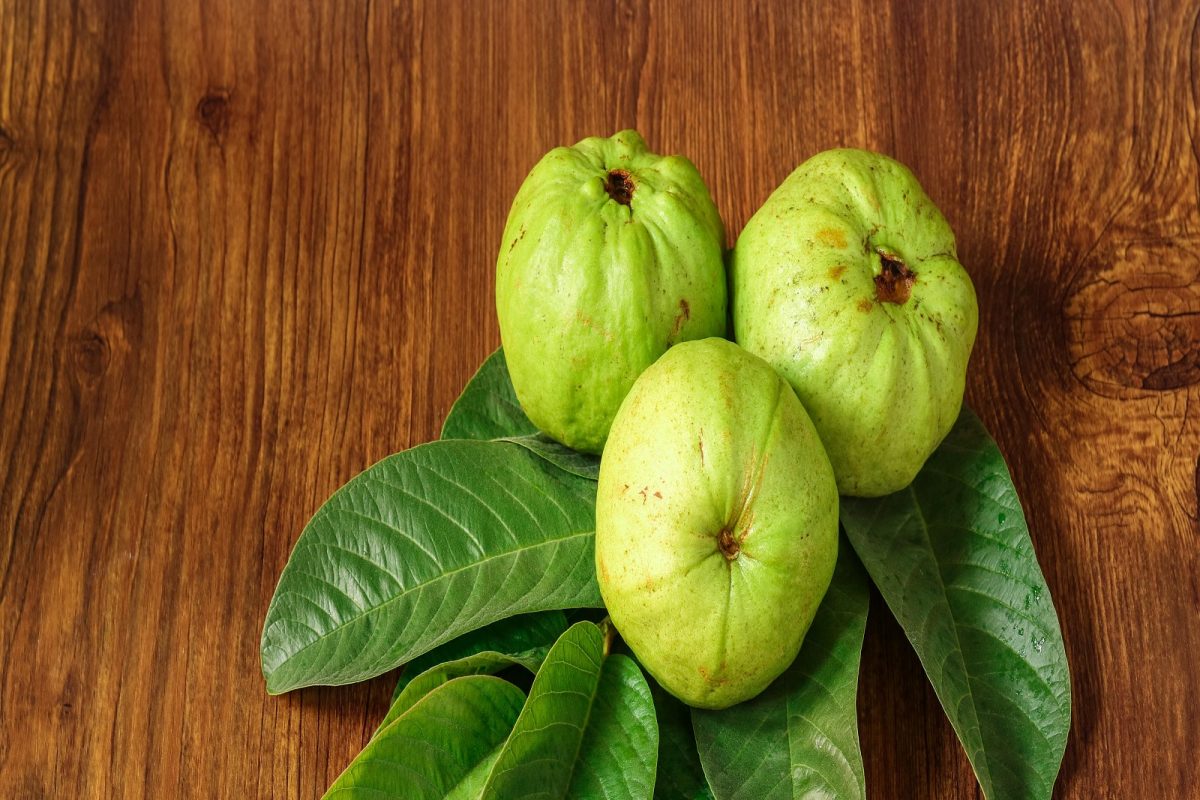 Hair Care : तुमचेही केस होतील लांब, घनदाट काळे; पेरूच्या पानांचा फक्त असा करा वापर