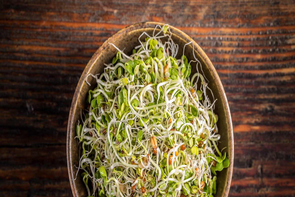 Health Tips : या वेळात स्प्राउट्स खाणे त्रासदायक ठरू शकते, जाणून घ्या योग्य पद्धत