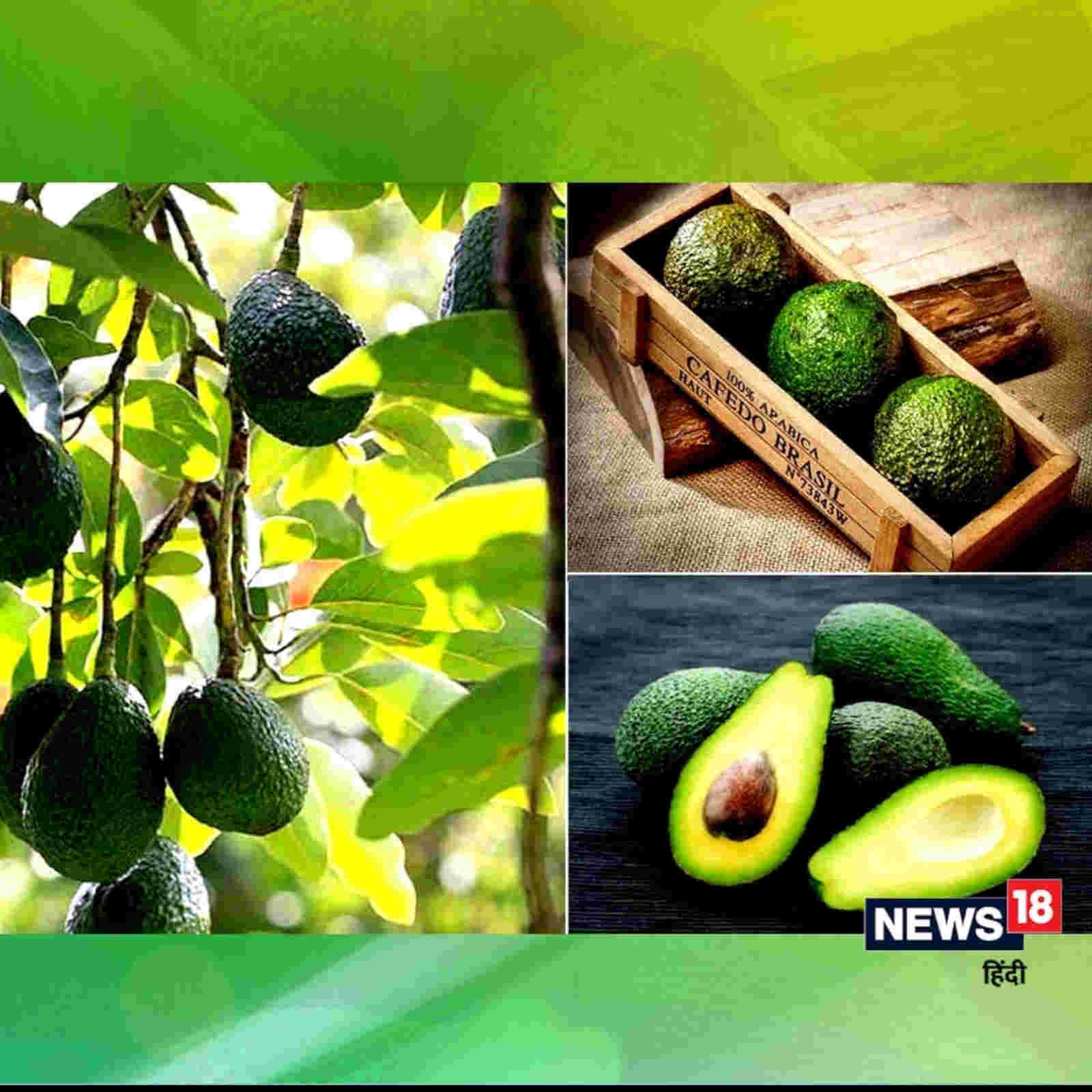 News18 Lokmat