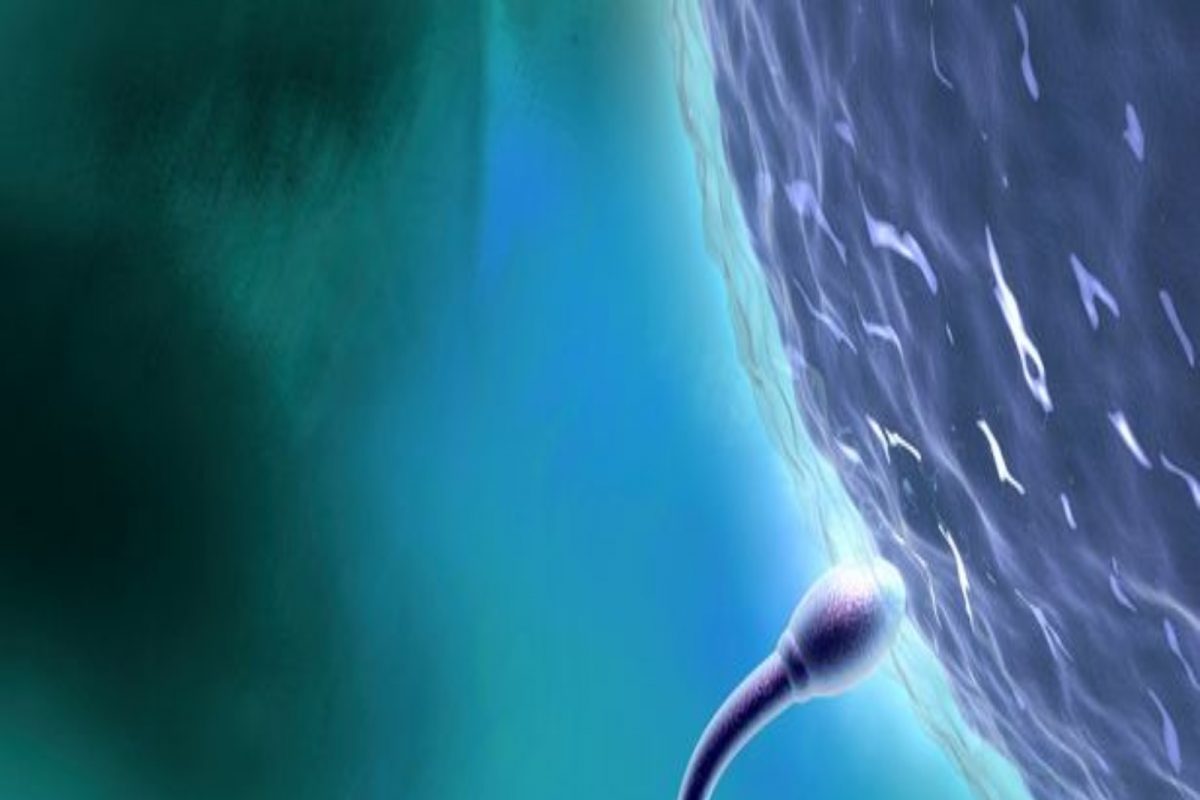 गर्भाशयात नव्हे तर महिलेच्या लिवरमध्ये झाली होती गर्भधारणा; अल्ट्रासाउंडचा रिपोर्ट पाहून डॉक्टरही चक्रावले