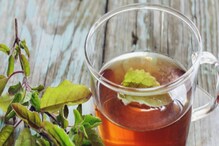 सकाळी तुळशीचा चहा पिण्याचे आहेत असंख्य फायदे, जाणून घ्या बनवण्याची सोपी पद्धत