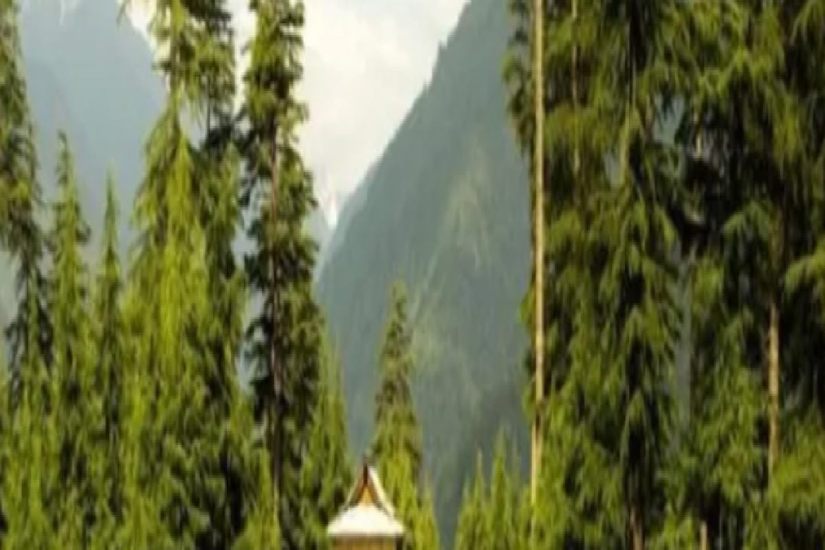 Couples चे गाव! पळून लग्न केलेल्यांसाठी सर्वोत्तम जागा, पोलिसांनाही No Entry