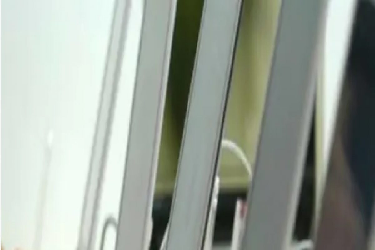 सरकारी कामातील कागदांचा वापर पूर्ण बंद, हा देश वाचवतोय कोट्यवधी रुपये