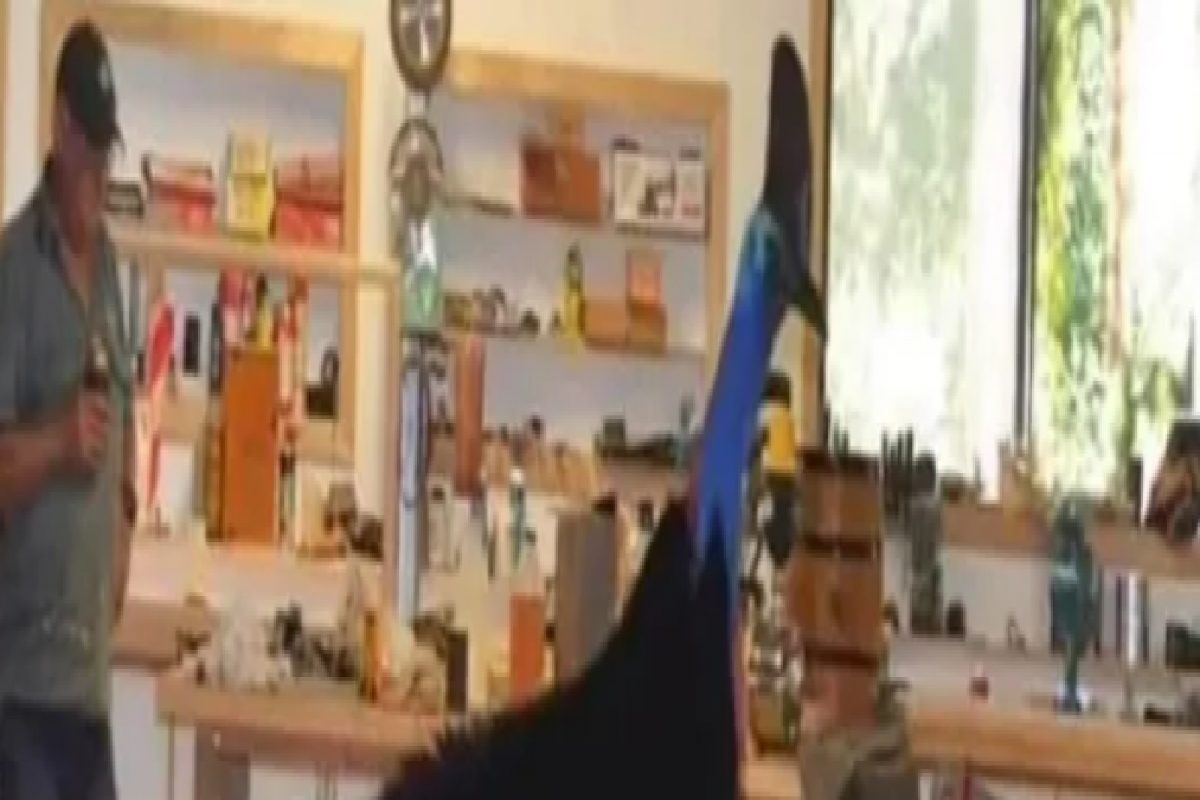 माणसाला भेटला जगातील सर्वात खतरनाक पक्षी, लाथ मारून करतो काम तमाम