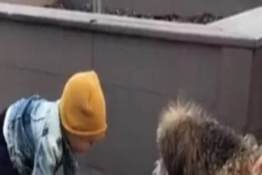 14 महिन्यांच्या बाळानं पहिल्यांदाच पाहिला कुत्रा, REACTION पाहून सगळे म्हणाले SO SWEET