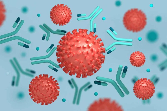 संशोधकांचे म्हणणे आहे की लसींच्या नवीन पिढीला (Covid Vaccine) अधिक मजबूत आणि व्यापक प्रतिकार प्रतिसाद निर्माण करण्याची क्षमता प्राप्त करणे आवश्यक आहे जे वर्तमान आणि भविष्यातील प्रकारांवर (Variants) प्रभावी असू शकते. हे करण्याचा एक मार्ग म्हणजे वेगळ्या विषाणूजन्य प्रथिनांचे काही भाग लसींमध्ये समाविष्ट करणे. हा विशिष्ट भाग असा असावा की तो स्पाइक प्रोटीनपेक्षा कमी म्यूटेशनची शक्यता कमी असावी. तो रोगप्रतिकारक यंत्रणेतील टी पेशी देखील सक्रिय करू शकतो. (प्रतिकात्मक फोटो: शटरस्टॉक)