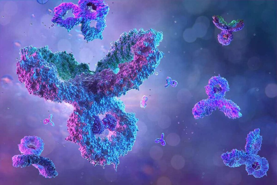 संशोधकांनी पॉलिमरेज प्रोटीन ओळखणाऱ्या रिसेप्टर्ससह टी पेशी (T Cells) तयार करण्याची क्षमता विकसित केली. संशोधक आता पुढील अभ्यास करत आहेत जेणेकरुन व्हायरल पॉलिमरेजचा नवीन लसीचा घटक म्हणून वापर करता येईल. हा अभ्यास सेल रिपोर्ट्स जर्नलमध्ये प्रकाशित झाला आहे. (प्रतिकात्मक फोटो: शटरस्टॉक)
