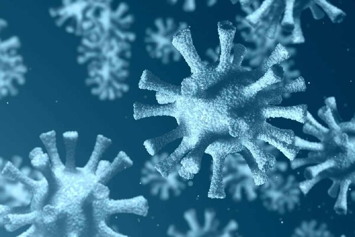संशोधकांनी विषाणूजन्य पॉलिमरेझ प्रोटीनवर (viral polymerase protein) लक्ष केंद्रित केले जे केवळ SARSCov-2 मध्येच नाही तर SARS, MERS आणि सामान्य सर्दी, इतर कोरोनाव्हायरससह आढळते. व्हायरल पॉलिमरेझ अशा इंजिनाप्रमाणे काम करते ज्याचा वापर कोरोना विषाणू स्वतःच्या प्रती बनवण्यासाठी करतो. हे संसर्ग पसरवण्याची क्षमता देते. मात्र, विषाणूच्या नवीन प्रकारांमध्ये, स्पाइक प्रोटीनसारखे व्हायरल पॉलिमरेजमध्ये बदल किंवा म्यूटेशन दिसून येत नाही. (प्रतिकात्मक फोटो: शटरस्टॉक)