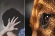 9 वर्षीय मुलीवर बलात्कार प्रकरणात कुत्र्याला अटक