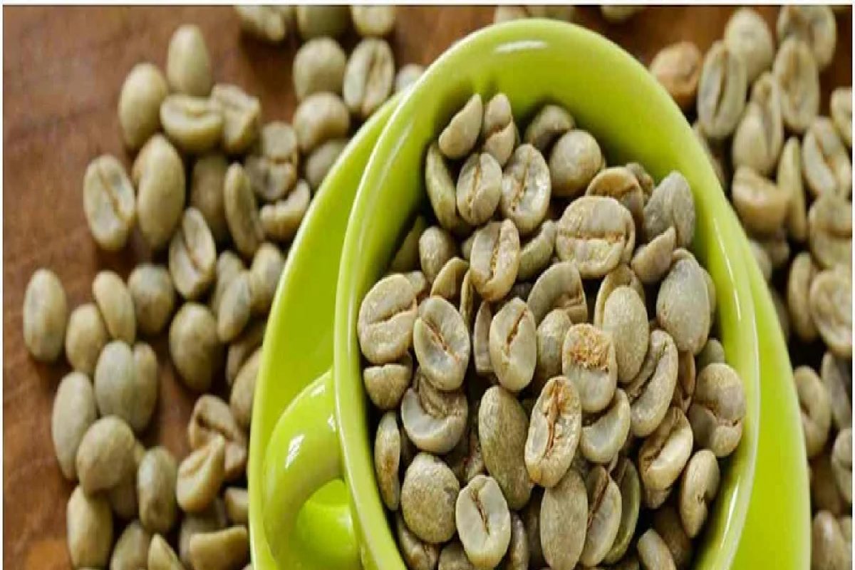 वजन कमी करण्यासाठी 'ग्रीन कॉफी' Best पर्याय, आरोग्यासाठी ठरते खूप फायदेशीर; जाणून घ्या त्याचे जबरदस्त फायदे