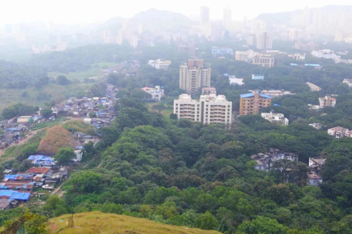 पराग अग्रवाल सारखे प्रतिभावंत विद्यार्थी घडवणाऱ्या IIT चा इतिहास माहितीय का? या संस्थेवर का होत असते टीका?