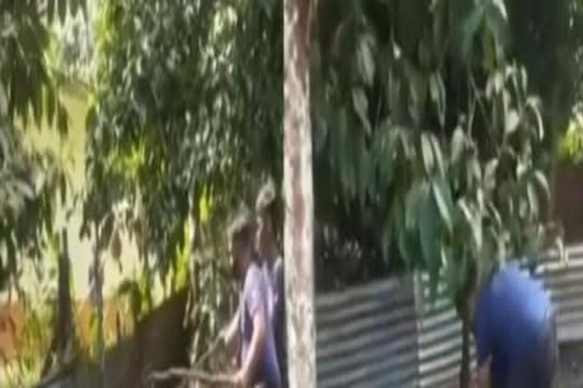 VIDEO - तरुणाला पळवून पळवून कोब्राने केला हल्ला; कॅमेऱ्यात कैद झालं खतरनाक दृश्य