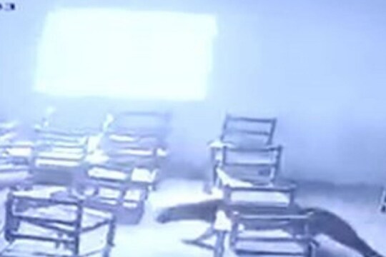 कॉलेजमध्ये शिरून बिबट्याचा विद्यार्थ्यावर हल्ला, समोर आला थरकाप उडवणारा VIDEO