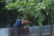 पकडायला आलेल्या तरुणावर चवताळला भलामोठा कोब्रा अन्...; थरकाप उडवणारा VIDEO पकडायला आलेल्या तरुणावर चवताळला भलामोठा कोब्रा अन्...; थरकाप उडवणारा VIDEO