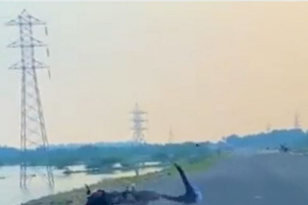 दुचाकीवर घातक स्टंट करताना बॅलन्स बिघडला अन्...; काळजाचा ठोका चुकवणारा VIDEO