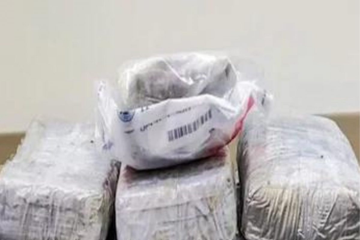 समुद्रकिनारी गेलेल्या युवकाच्या हाती लागला 7 कोटीचा खजिना, प्रामाणिकपणा दाखवत पोलिसांकडे गेला, पण...