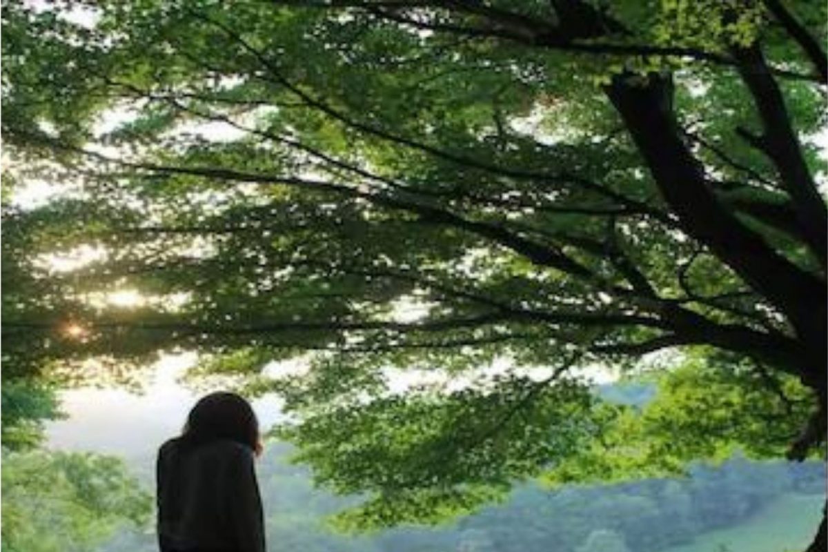 अजबच! माणूस नव्हे तर झाडाच्या प्रेमात पडली महिला; अखेर घेतला मोठा निर्णय