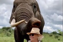 महिला भावुक झाल्याचं दिसताच हत्तीने जे केलं ते पाहून तुम्हीही व्हाल अवाक, VIDEO
