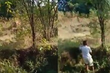 Chandrapur: हुसकावण्यासाठी गेलेल्या गावकऱ्यांवर चवताळला वाघ अन्.., Live Video Chandrapur: हुसकावण्यासाठी गेलेल्या गावकऱ्यांवर चवताळला वाघ अन्.., Live Video