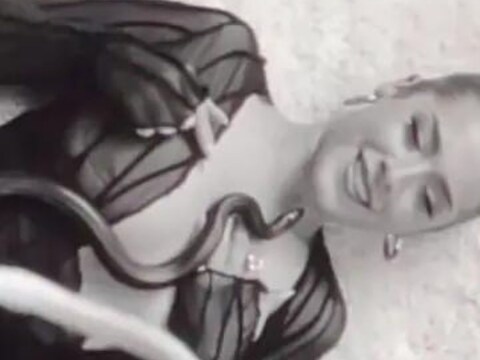Snake Attack on American Singer: 21 वर्षाची अमेरिकन सिंगर माइटा हिने नुकताच आपल्या इन्स्टाग्रामवर एक थक्क करणारा व्हिडिओ शेअर केला. या व्हिडिओमध्ये ती सापांसोबत म्यूझिक व्हिडिओ शूट करताना दिसली. 